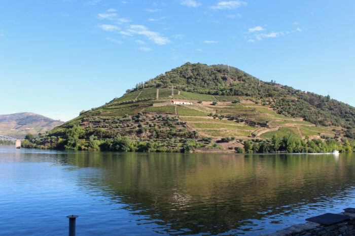 Wine Tour